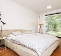 Schlafzimmer im Einfamilienhaus mit Bett, Pflanzen und Blick in den Garten.