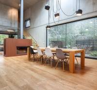 Ein Interieur eines Einfamilienhauses mit einem großen Tisch, einem Kamin und viel natürlichem Licht.