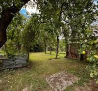 Obstbäume im Garten bei der Hütte in Papradno mit Apfelernte und Holzzaun.