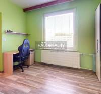 Zimmer in einer 2-Zimmer-Wohnung mit Schreibtisch, Stuhl, grüner Wand und Fenster.