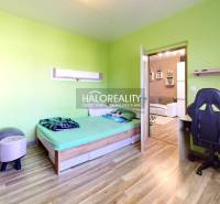 Ein Zimmer in einer 2-Zimmer-Wohnung mit Holzboden, grünen Wänden und einer Arbeitsecke.