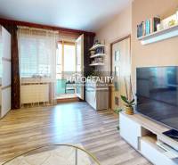Wohnzimmer in einer Zweizimmerwohnung mit Fernseher, Regalen und Zugang zum Balkon.