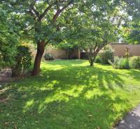 Der Garten des Einfamilienhauses in der Šalská-Straße in Šaľa mit Rasen und Bäumen.