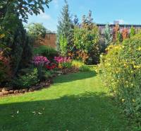 Ein Garten mit Blumenbeeten und Bäumen hinter einem Einfamilienhaus in der Šalská-Straße in Šaľa.