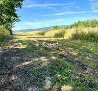 Ein grasbewachsener Weg zwischen Feldern und Bäumen in Kolibabovce, ideal für Grundstücke - Wohnen.