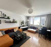 3-Zimmer-Wohnung mit bequemer Couch, Esstisch und Zimmerpflanzen.