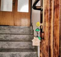 Holztüren mit Türgriff und Schlüsseln führen zu einer Treppe in einem Einfamilienhaus.