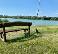Eine Bank am See, umgeben von Gras und Blumen in Vojka nad Dunajom.