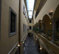 Ein Flur in Büros mit Glasdach und Pflanzen.