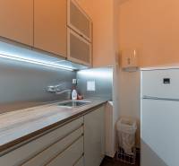 Küchenecke im Büro mit Kühlschrank und Holzarbeitsplatte.