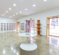 Geräumige Büros mit Holzregalen und rundem Tisch, helle Fliesen.