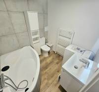 Badezimmer mit ovaler Badewanne, Toilette und Waschmaschine in einer Einzimmerwohnung.