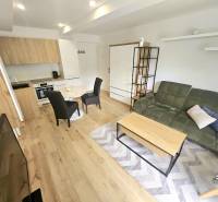 Wohnzimmer einer Einzimmerwohnung mit grauem Teppich, grünem Sofa und Holzmöbeln.