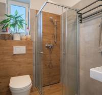 Badezimmer im Einfamilienhaus mit WC, Dusche und Fenster mit Blume.