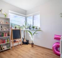 Buchhandlung, Tafel und Gitarre im Inneren eines Einfamilienhauses mit Pflanzen auf der Fensterbank.