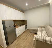 Ferienwohnung mit Küchenzeile, Kühlschrank und bequemer Couch auf Holzboden.