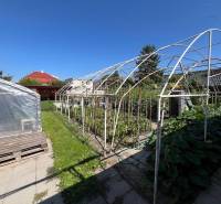 Ein Garten bei einem Einfamilienhaus in Komárno mit einem Folientunnel und einer Konstruktion zum Anbau.