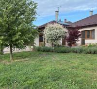 Ein Einfamilienhaus in Malacky mit einem blühenden Garten und Rasen, einem Baum und Sträuchern vor dem Haus.