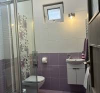 Badezimmer mit Fliesen in einem Einfamilienhaus, Duschkabine, Waschbecken, Toilette.