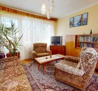 Wohnzimmer in einem Einfamilienhaus mit Retro-Möbeln und einer Pflanze.