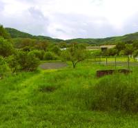 Garten beim Einfamilienhaus in Čelovce mit Rasen und von Grün umgeben.