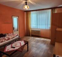 Wohnzimmer in einer Einzimmerwohnung mit Sofa, Tisch und Fenster mit Heizkörper.