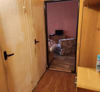Der Flur in einer Einzimmerwohnung mit Türen, die ins Wohnzimmer führen.