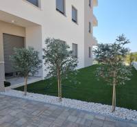 Exterieur einer 4-Zimmer-Wohnung in Vodice, eleganter Garten mit Bäumen und Rasen.