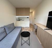 Einzimmerwohnung mit Kochnische, Sofa und Fernseher, helles Holz und graue Möbelakzente.