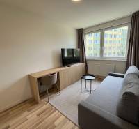 Einzimmerwohnung mit Sofa, Fernseher und Schreibtisch, helle Fenster mit Aussicht.