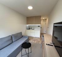 Einzimmerwohnung mit Kochnische, Sofa und Fernseher, geeignet zum Wohnen.