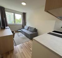 Einzimmerwohnung mit Sofa, Küchenzeile und Fernseher, einfaches und funktionales Interieur.