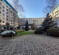 In Bratislava - Nové Mesto in the Vajnorská street with commercial spaces there are trees and maintained pavement.