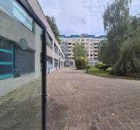 Geschäftsräume in der Vajnorská Straße, umgeben von Grünflächen, Bratislava - Nové Mesto.