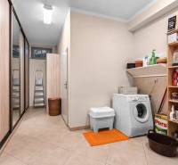 Waschküche in einem Einfamilienhaus mit Waschmaschine, Regalen für Reinigungsmittel und Stauraum.