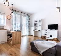 Wohnzimmer in einer Zweizimmerwohnung mit Sofa, Fernseher, Esstisch und modernen Lampen.