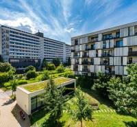 Wohnhäuser und Grünflächen in der Strážovská-Straße in Košice - Stadtteil Západ.