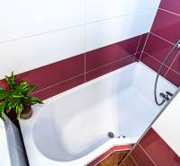 Badezimmer mit Badewanne, Fliesen in Bordeaux und Weiß und einer Pflanze in einer 2-Zimmer-Wohnung.