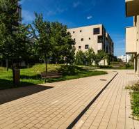 Der Gehweg in der Strážovská Straße in Košice - Stadtteil Západ, gesäumt von Bäumen und Gebäuden.