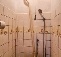 Kleines Badezimmer in der Hütte mit Toilette, Fliesen und Holzdecke.
