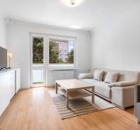 Wohnzimmer in einer 2-Zimmer-Wohnung mit Holzboden und bequemer Couch.