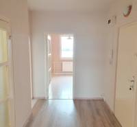 Innenraum einer 3-Zimmer-Wohnung mit Laminatboden und Glastüren zur Küche.