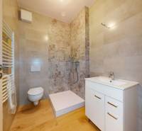 Badezimmer in einer 3-Zimmer-Wohnung mit Toilette, Dusche und Waschbecken.
