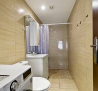 Badezimmer in einer 2-Zimmer-Wohnung mit Waschmaschine, Spiegel und Duschvorhang.
