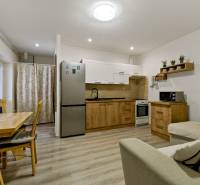Küche und Esszimmer in einer 2-Zimmer-Wohnung mit Holzelementen und Einrichtung.