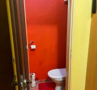 Ein Badezimmer mit hellorangenen Wänden und einem roten Teppich, 3-Zimmer-Wohnung.