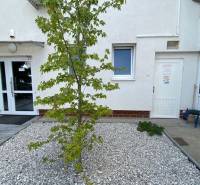 Eingang zu Geschäftsräumen mit weißer Fassade und kleinem Baum im Vordergrund.