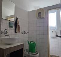 Badezimmer mit Waschbecken, Toilette und Duschkopf. Lager und Hallen in der Šamorínska-Straße.