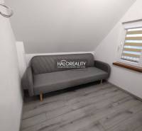 Ein Studio-Apartment mit einem grauen Sofa, weißen Wänden und einem Fenster mit Jalousien.