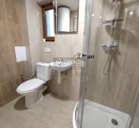 Badezimmer in einem Studio-Apartment mit Toilette, Waschbecken, Duschkabine und Fenster.